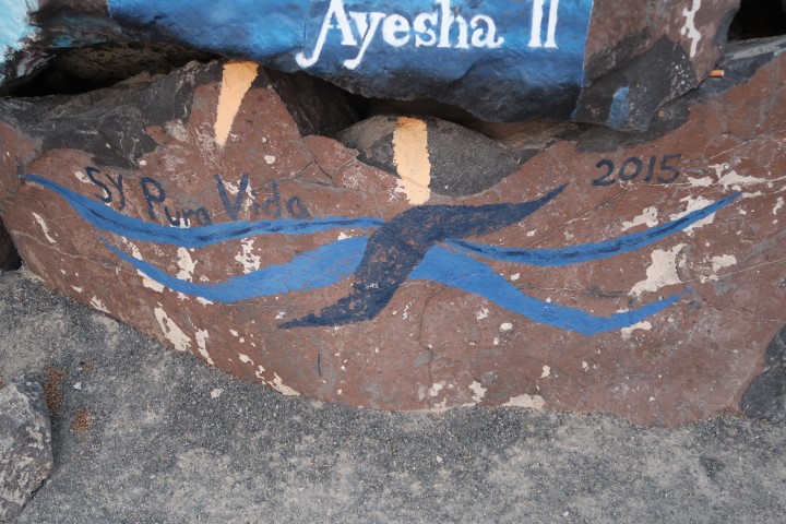 ayesha ii