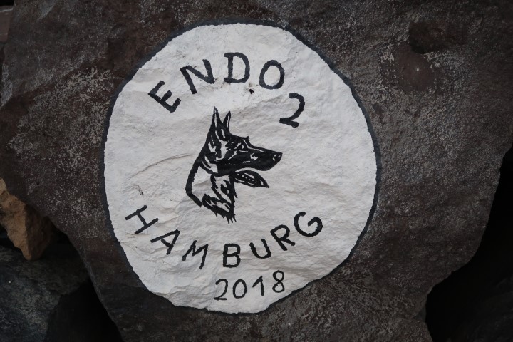 endo 2 hamburg
