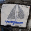 IMG 6556