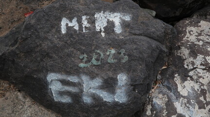 IMG 7161