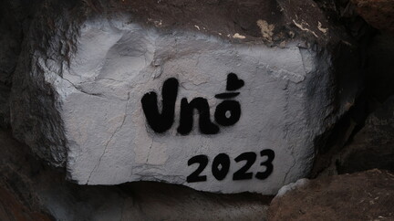 IMG 7196