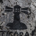 IMG 7168