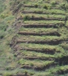 La Gomera - Terras!