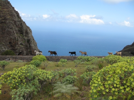 La Gomera!